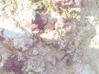 20110919-20110919-Ausflug Tongrube (59)